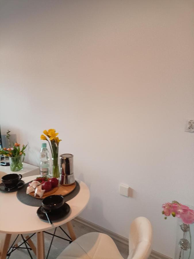 Apartament Z Sauna I Jacuzzi Apartment Radom Luaran gambar