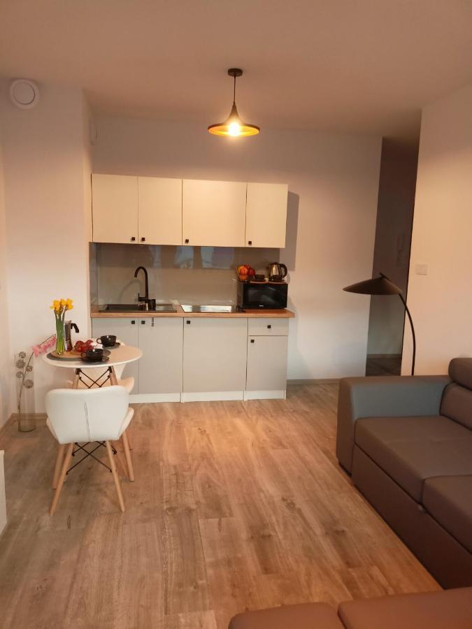 Apartament Z Sauna I Jacuzzi Apartment Radom Luaran gambar